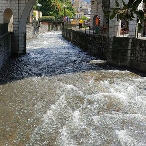 Meet your Posher, Liliana